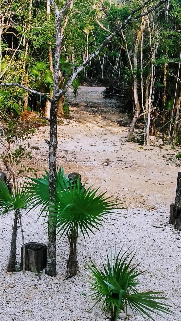 Tooj Cheel Tulum