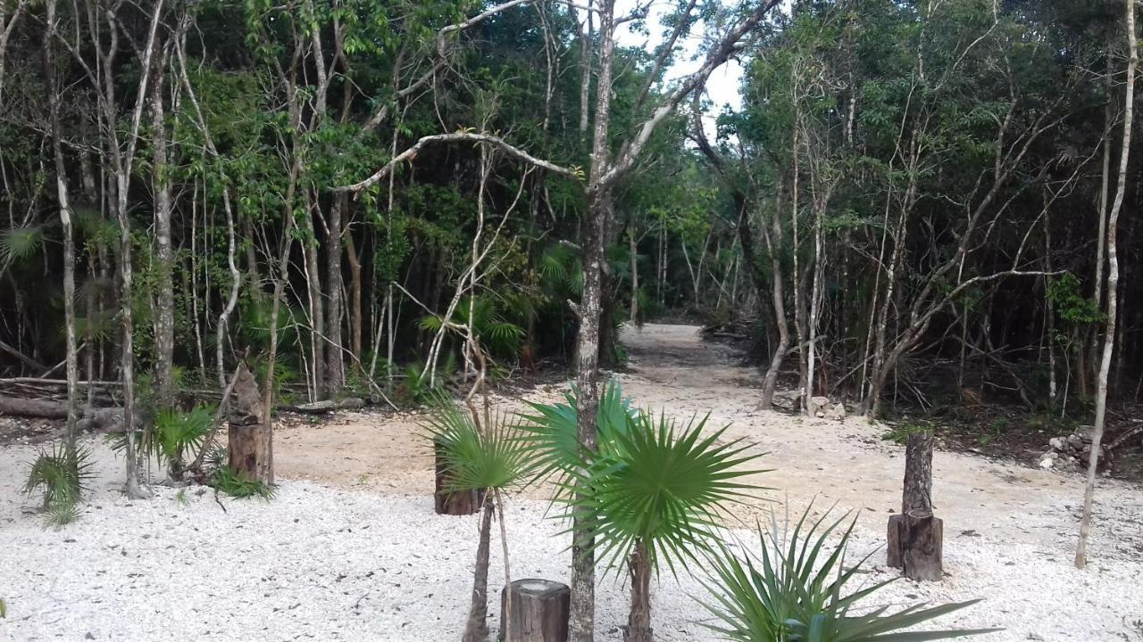Tooj Cheel 3* Tulum